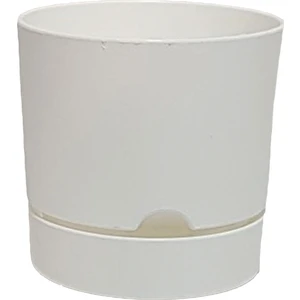 Begonya 12 cm Tabaklı Saksı 1 lt