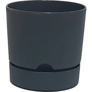 Begonya 12 cm Tabaklı Saksı 1 Lt 5'li