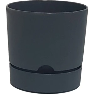 Begonya 15 cm Tabaklı Saksı 1,8 Lt 4'lü