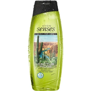 Cactus Ridge Erkekler Için Saç ve Vücut Şampuanı 250 ml