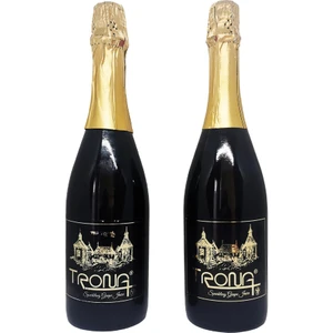 Alkolsüz Gazlı Içecek 2'li 750 ml