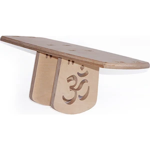 Raja Meditasyon Taburesi