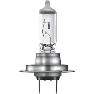 Hejalux H7 Ampul 12V 55W 13553  Çiftli X2