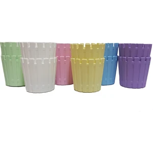 Akasya  Kaktüs Saksısı Fresh Mix 5,5 cm 12'li   0,1 Lt