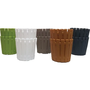 Akasya Kaktüs Saksısı  Pastel Mix  5,5 cm  10'lu 0,1 Lt