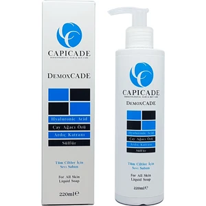 Demoxcade Sıvı Sabun 220 ml