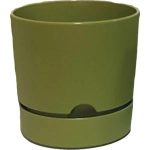 Begonya 9 cm Tabaklı Saksı 0,5 lt