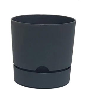 Begonya 9 cm Tabaklı Saksı 0,5 lt