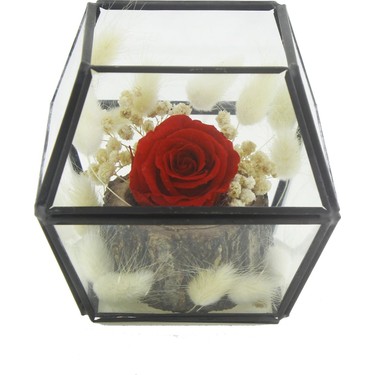Red Rose On The Book With Red Glass Wine On Background Stock Photo Alamy