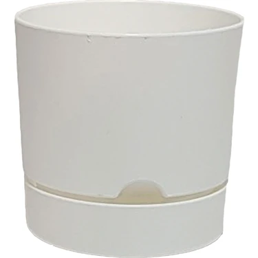 Poliwork Begonya 15 cm Tabaklı Saksı 1,8 Lt 