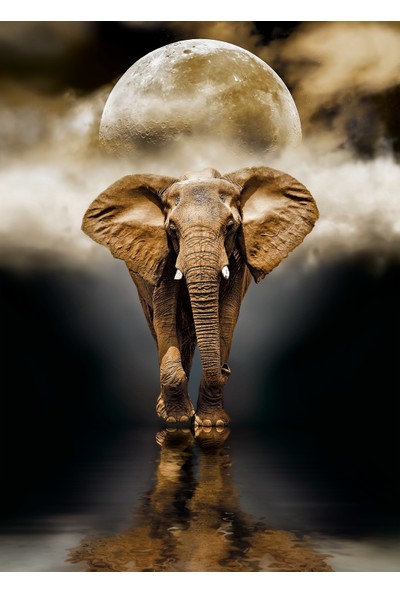Clementoni - 1000 Parça High Quality Yetişkin Puzzle - Elephant