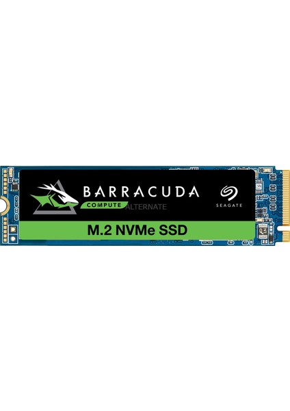 Barracuda 510 500GB 3400MB-2400MB NVMe SSD + 3 Yıl Veri Kurtarma