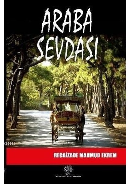Araba Sevdası - Recaizade Mahmut Ekrem