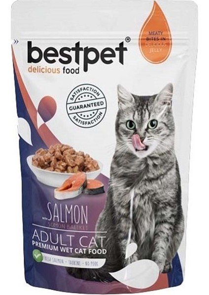 Adult Jelly Pouch Somonlu Kedi Maması 85 gr 24'lü