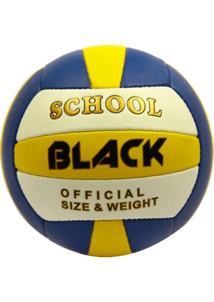 School Voleybol Topu