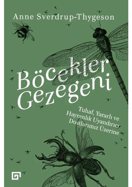 Böcekler Gezegeni: Tuhaf, Yararlı Ve Hayranlık Uyandırıcı Dostlarımız Üzerine - Anne Sverdrupthygeson