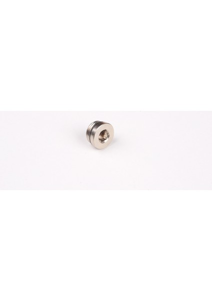 Alyan Başlı Tapa O-Ringli 1/2"