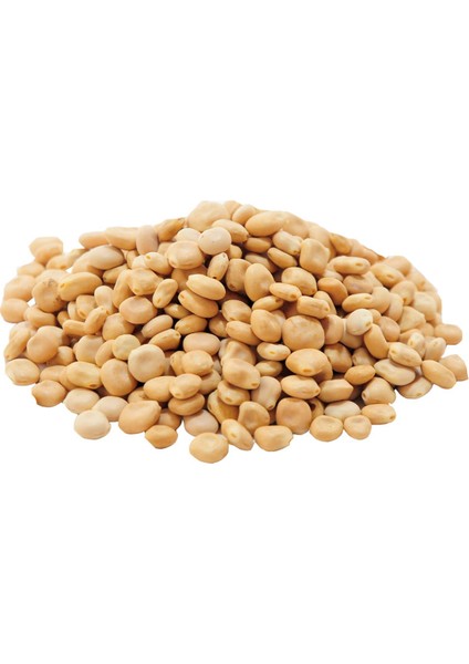 Acı Bakla Tohumu 50 gr Paket
