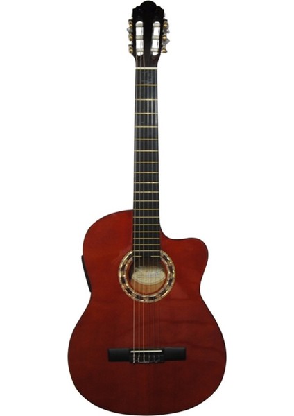 CG - 200 Sce Nat Ince Kasa Elektro Klasik Gitar