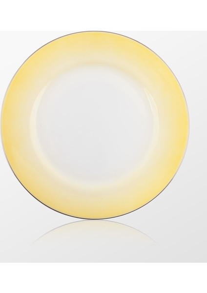 Missoni By Richard Ginori Margherita-Gümüş Bordürlü Düz Yemek Tabağı