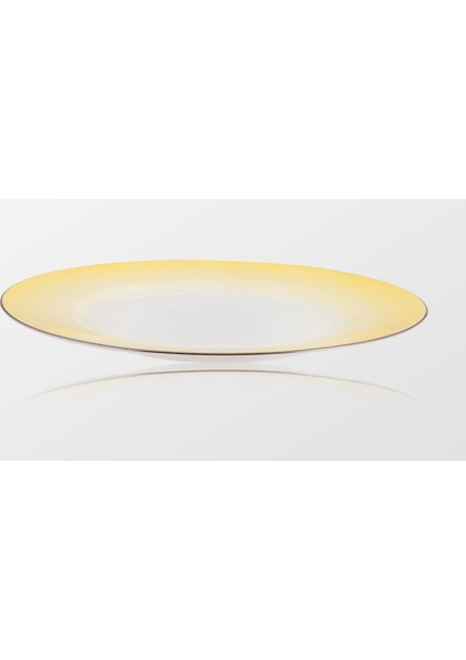 Missoni By Richard Ginori Margherita-Gümüş Bordürlü Düz Yemek Tabağı fiyatları