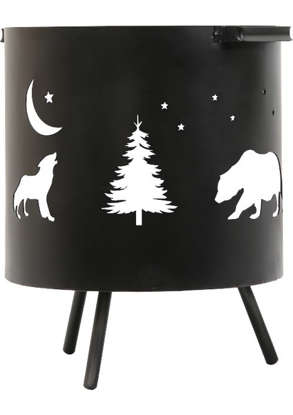 Ortam Şöminesi modelleri