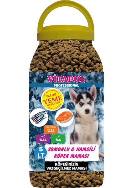 Professıonal Somonlu Hamsili Yetişkin Köpek Maması 5 Lt