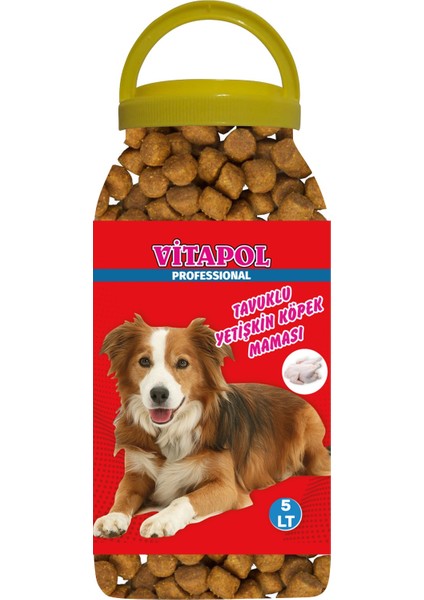Professıonal Tavuklu Yetişkin Köpek Maması 5 Lt