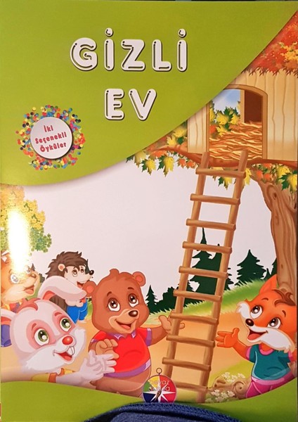 İki Seçenekli Öyküler - Gizli Ev - Aziz Sivaslıoğlu