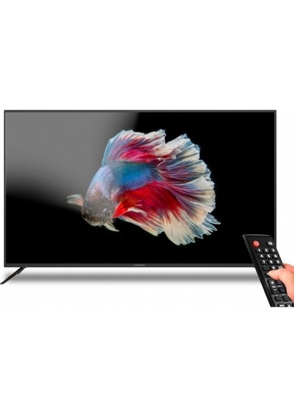 LDS-6599UHD 65" 165 Ekran 4K Ultra HD Smart LED TV