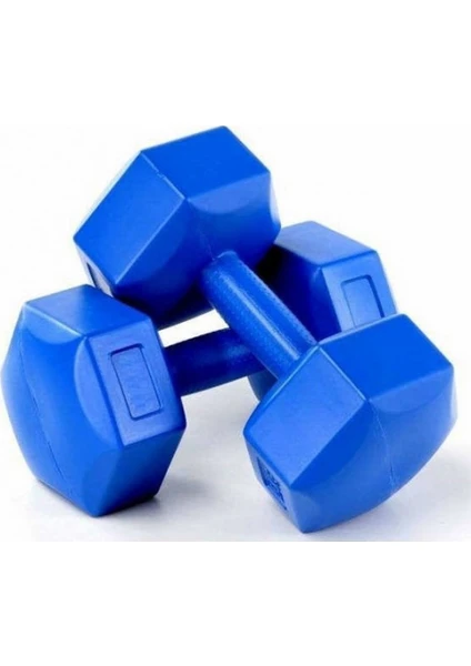 Spor 8 kg x 2 Cement Dambıl Set (BS112-8KG)