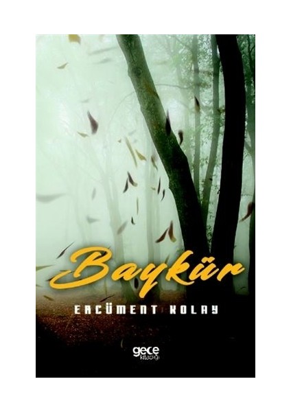 Baykür - Ercüment Kolay