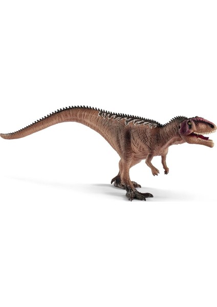 Yavru Giganotosaurus 15017