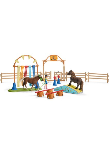 Pony Eğitimi 42481