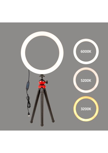 Ring Light Vlogger Kit