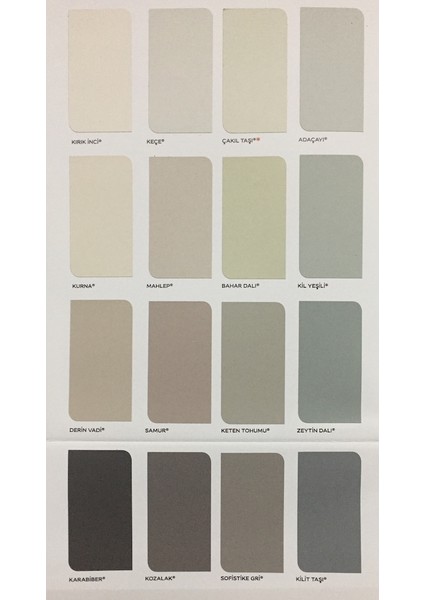 Silinebilir Silikonlu Özel Mat 2,5 lt - 3,5 kg Adaçayı modelleri