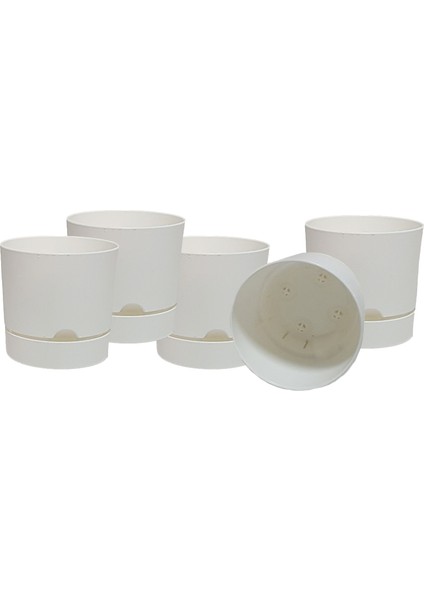 Begonya 9 cm Tabaklı Saksı 0,5 Lt 5'li