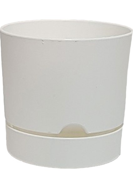 Begonya 9 cm Tabaklı Saksı 0,5 Lt 5'li