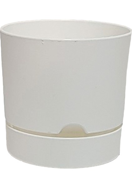 Begonya 12 cm Tabaklı Saksı 1 lt