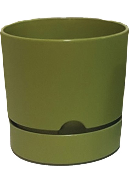 Begonya 12 cm Tabaklı Saksı 1 lt