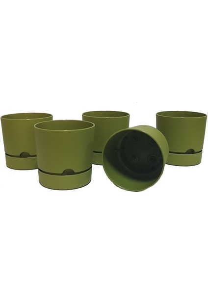 Begonya 12 cm Tabaklı Saksı 1 Lt 5'li fiyatları