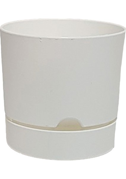 Begonya 15 cm Tabaklı Saksı 1,8 Lt 4'lü