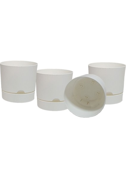 Begonya 15 cm Tabaklı Saksı 1,8 Lt 4'lü