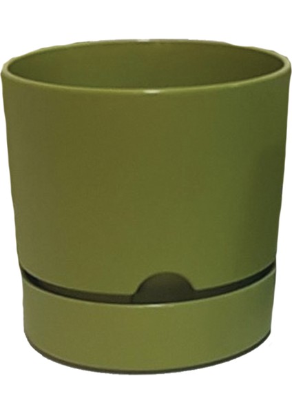 Begonya 15 cm Tabaklı Saksı 1,8 Lt 4'lü