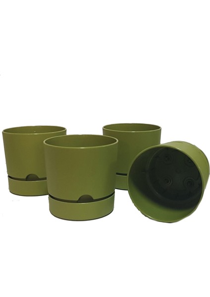 Begonya 15 cm Tabaklı Saksı 1,8 Lt 4'lü