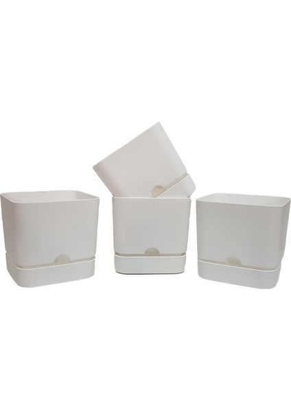 Begonya Kare 13 cm Tabaklı Saksı 1,5 Lt 4'lü