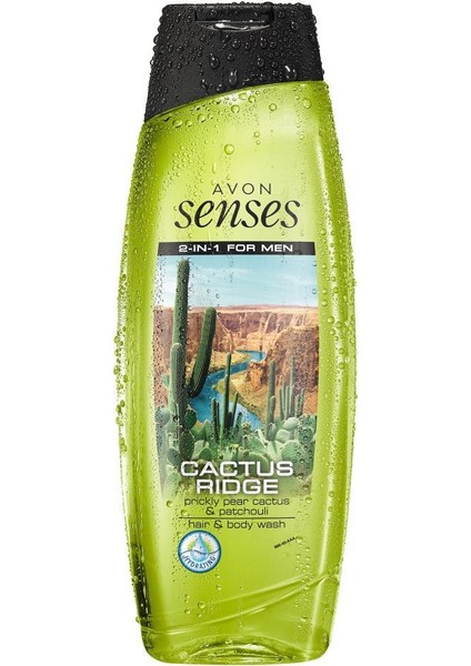 Senses Cactus Ridge Erkekler Için Saç ve Vücut Şampuanı 500 ml