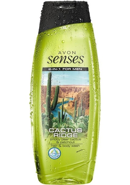 Cactus Ridge Erkekler Için Saç ve Vücut Şampuanı 250 ml