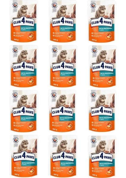 CLUB4PAWS Premium Pouch Uskumrulu Kedi Konservesi 100 gr x 12 Adet