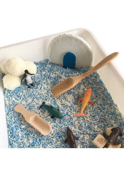 Kutuplar Temalı Montessori Duyusal Oyunlar Seti fırsatları